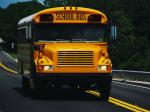 Thomas Saf-T-Liner FS-65 School Bus 1995 года